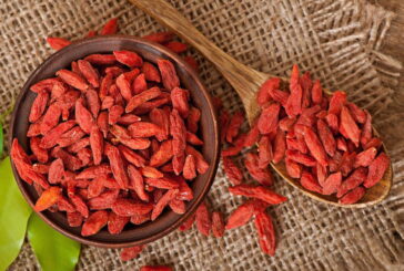 Tibetan Goji Berries - Are They an Elixir of Youth and Good Health