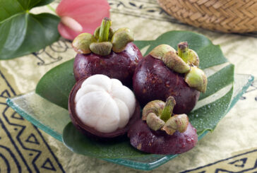 Xanthones in Mangosteen Fruit