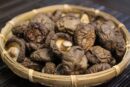For a Healthy Treat Consider Shiitake Mushrooms