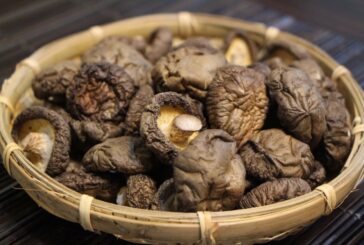 For a Healthy Treat Consider Shiitake Mushrooms