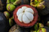 Mangosteen and Diabetes