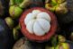 Mangosteen and Diabetes