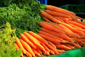 Carrot benefits for human health